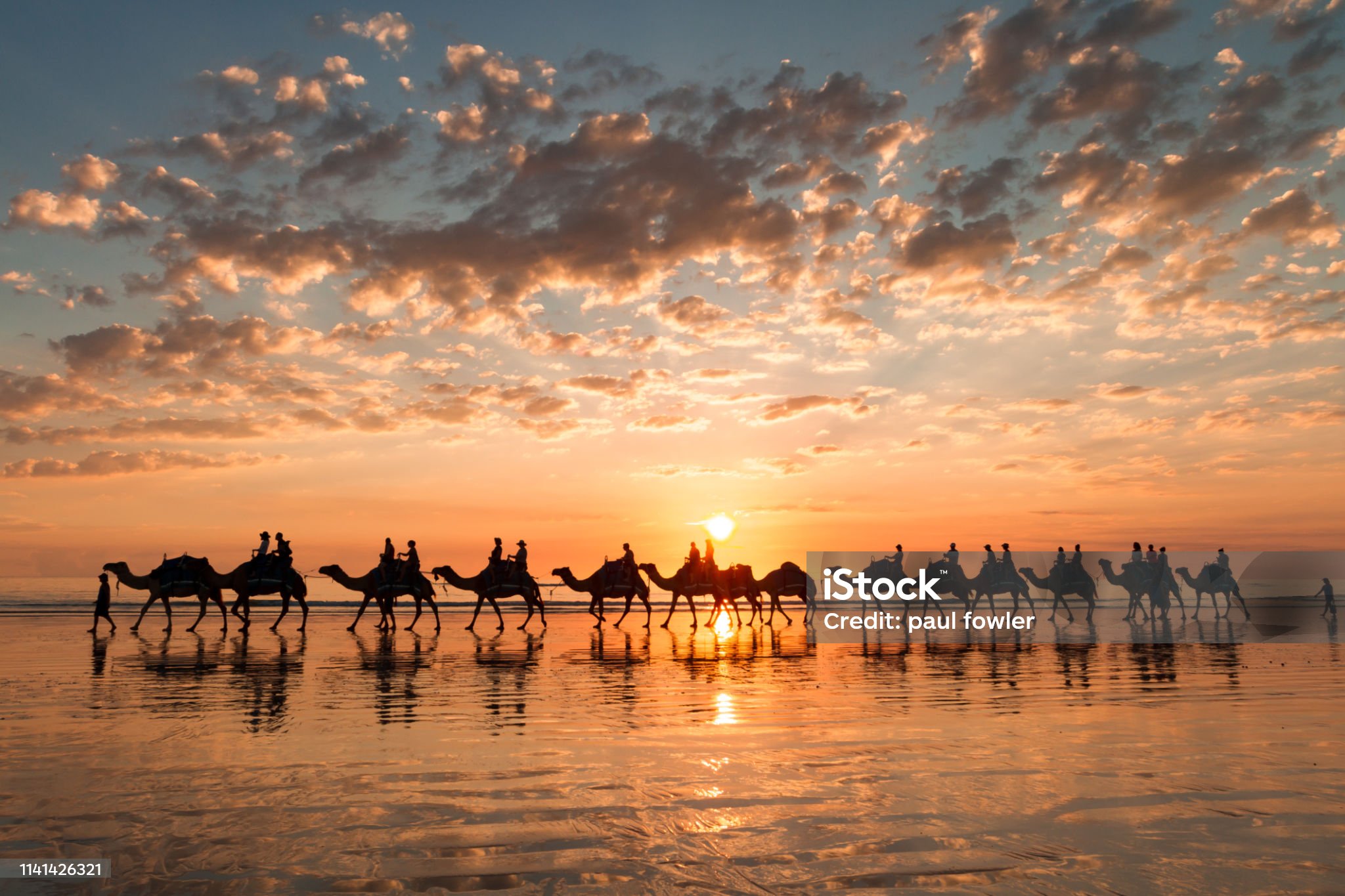 The Camel Riding Experience During Sunset At The Cable Beach, Australia.